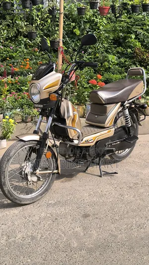 টিভিএস এক্সএল ১০০ কমফোর্ট ২০২২ গোল্ড