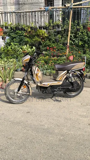 টিভিএস এক্সএল ১০০ কমফোর্ট ২০২২ গোল্ড
