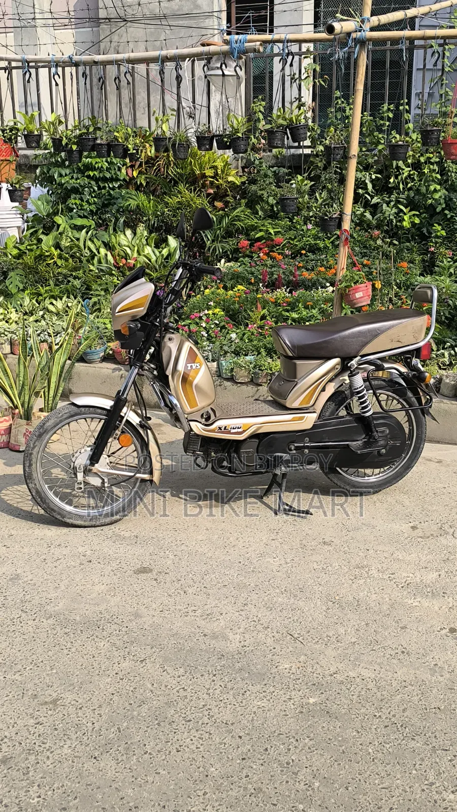 টিভিএস এক্সএল ১০০ কমফোর্ট ২০২২ গোল্ড