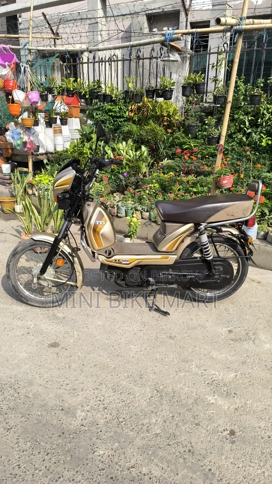 টিভিএস এক্সএল ১০০ কমফোর্ট ২০২২ গোল্ড