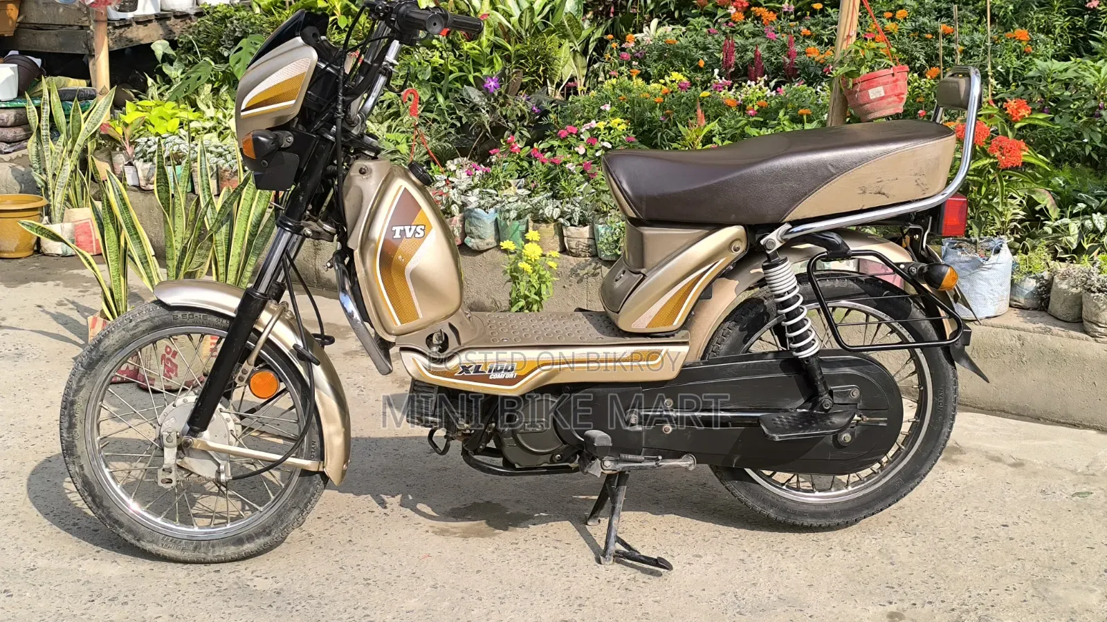 টিভিএস এক্সএল ১০০ কমফোর্ট ২০২২ গোল্ড