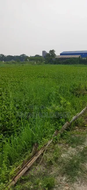 5 Bigha Boundary Land for Sale Along 300 Feet Road