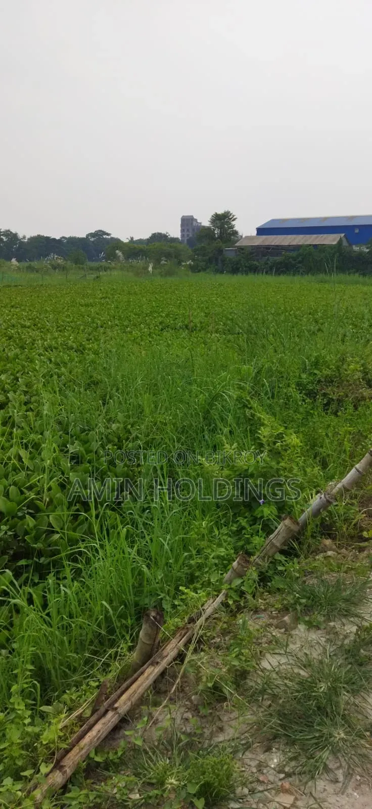 5 Bigha Boundary Land for Sale Along 300 Feet Road