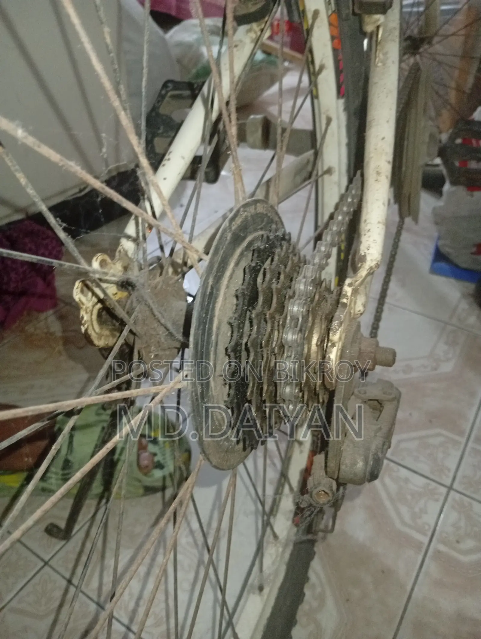 সাইকেল / বাইসাইকেল