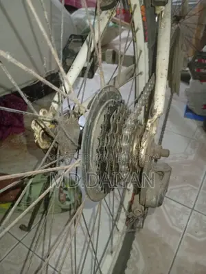 সাইকেল / বাইসাইকেল