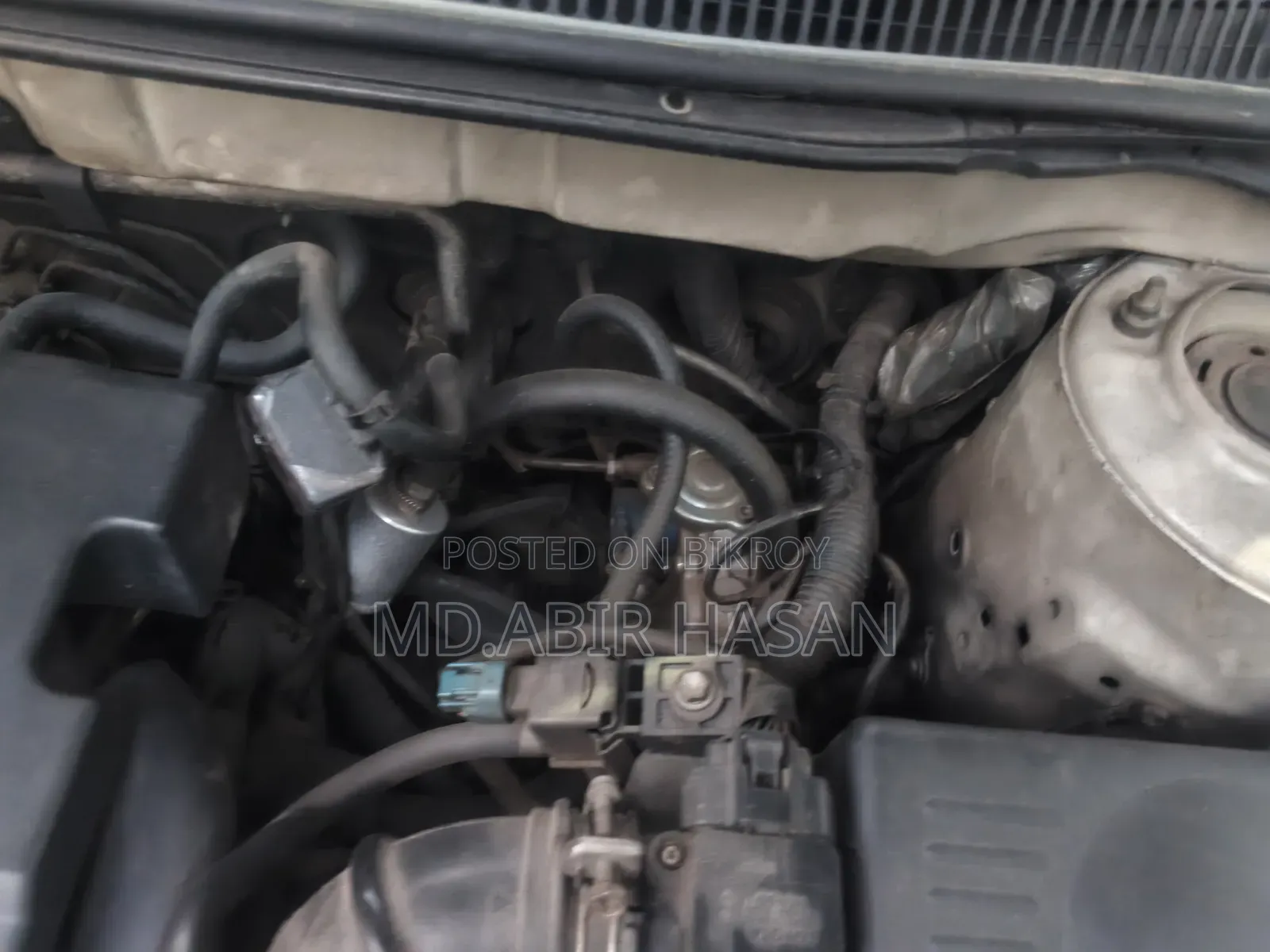LPG Gas Cylinder & Full Setup