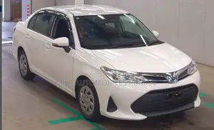 Toyota Axio 2021 White