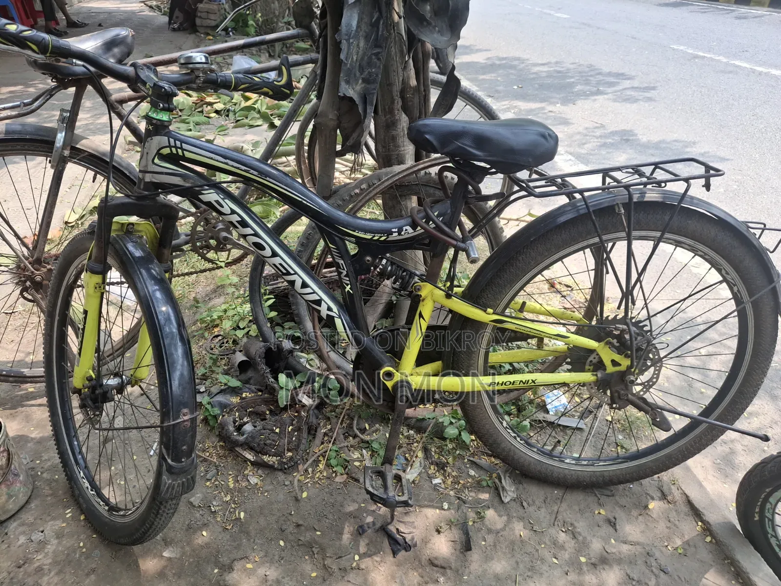 ফেনিক্স সাইকেল