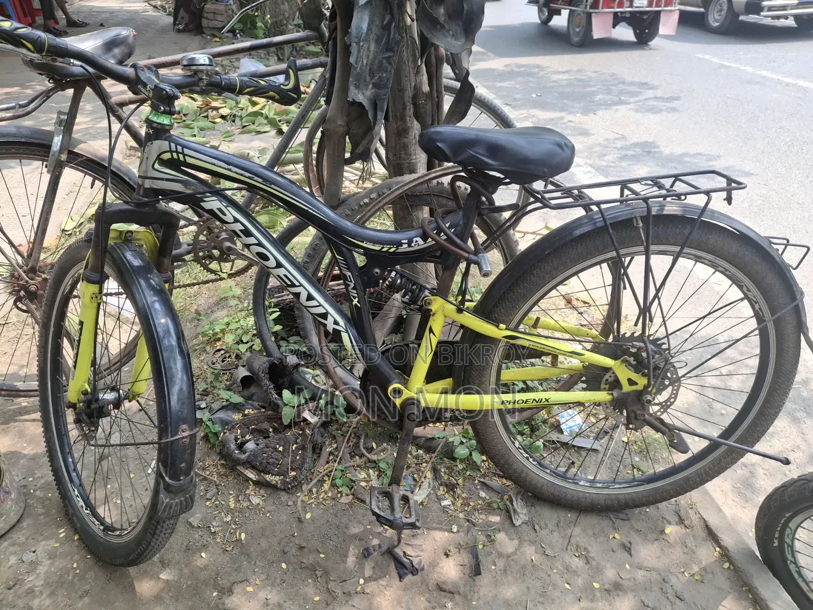 ফেনিক্স সাইকেল