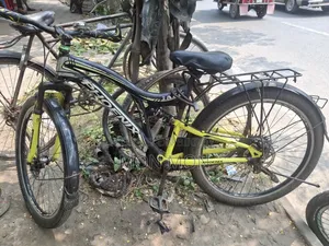 ফেনিক্স সাইকেল
