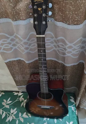 Briline Acoustic Guitar for Sale