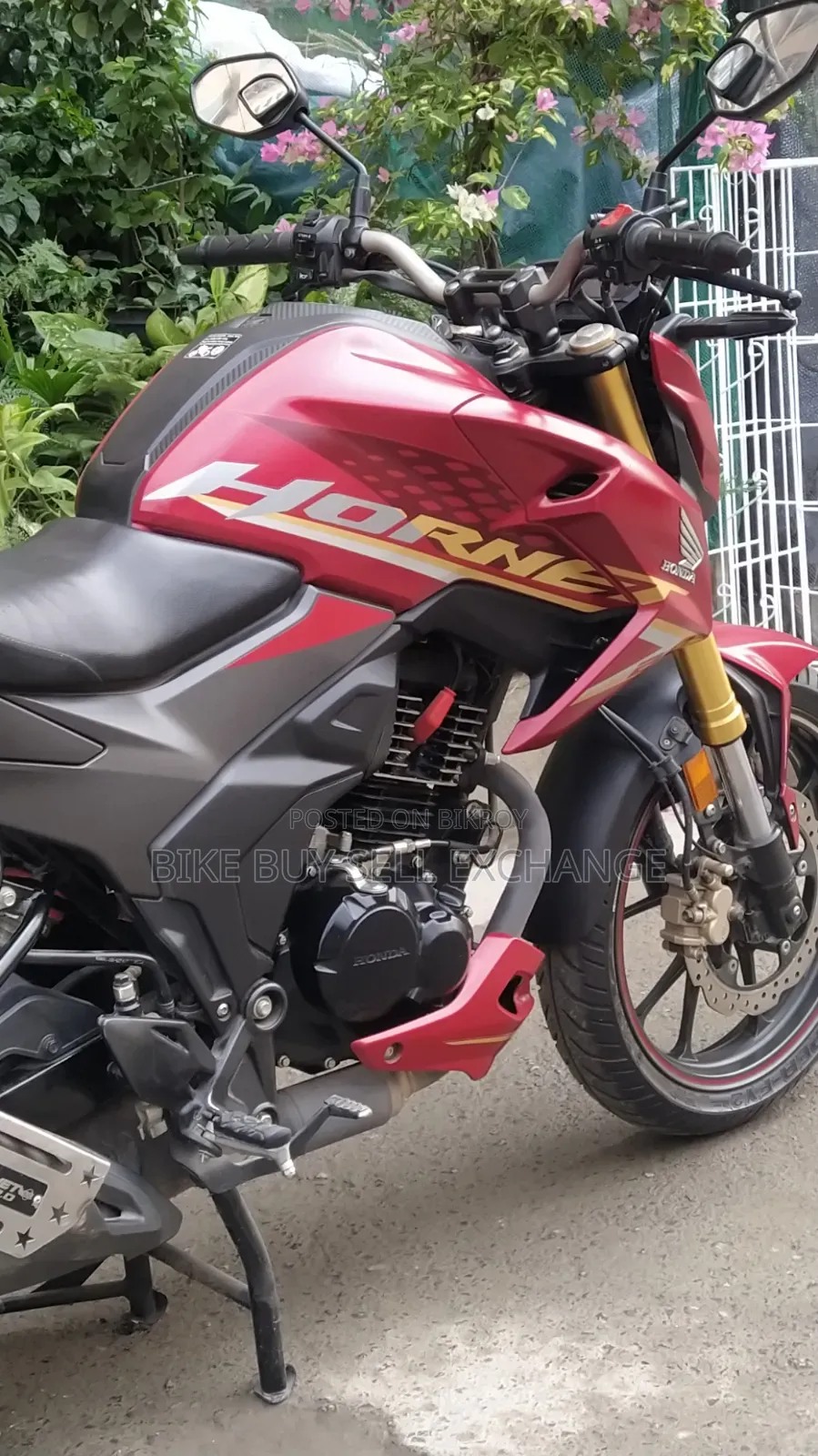 Honda Hornet 2.0 2024 Red