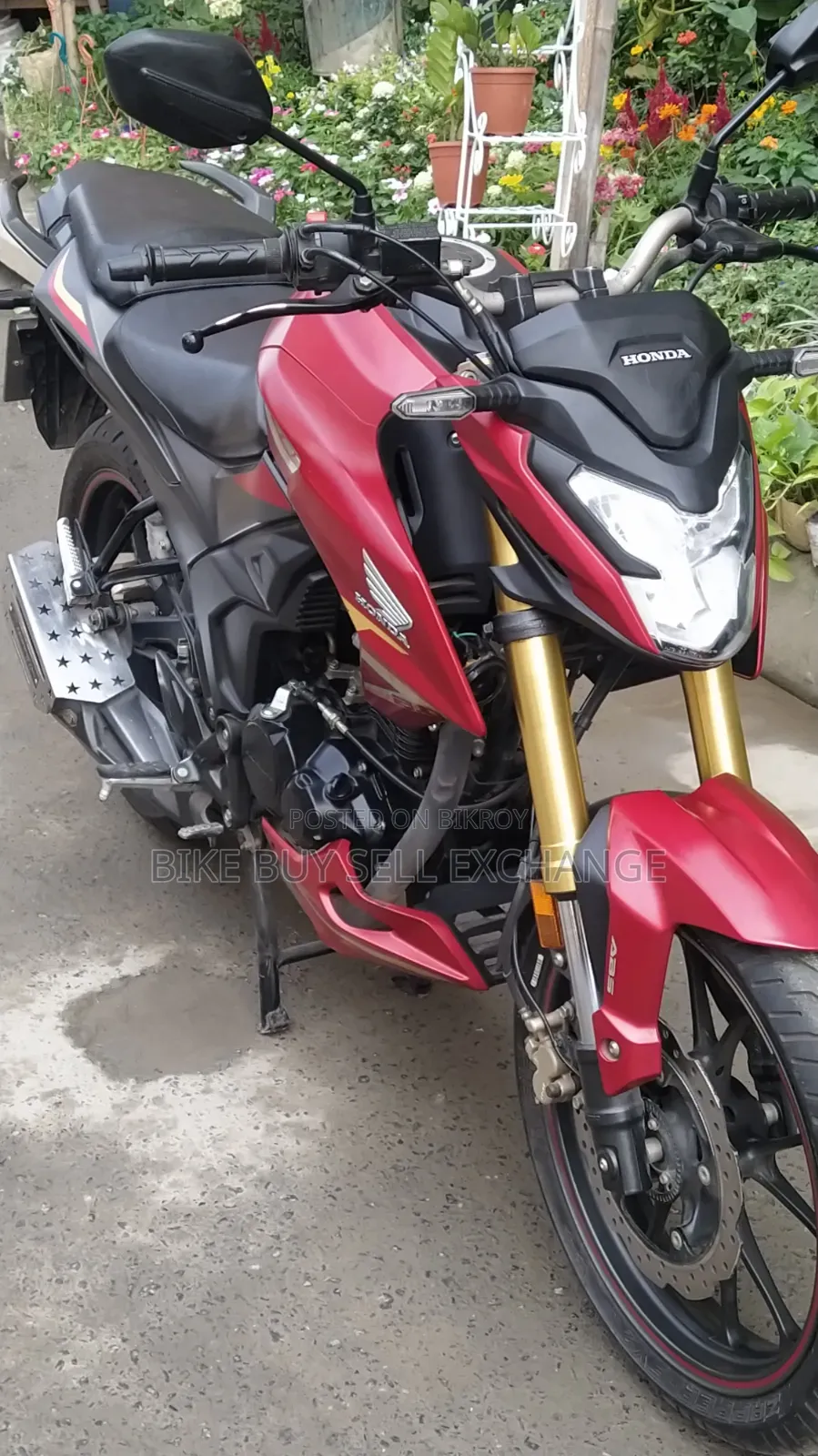 Honda Hornet 2.0 2024 Red