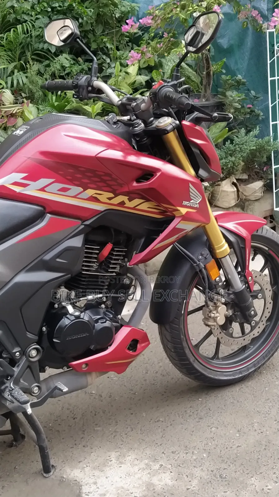 Honda Hornet 2.0 2024 Red