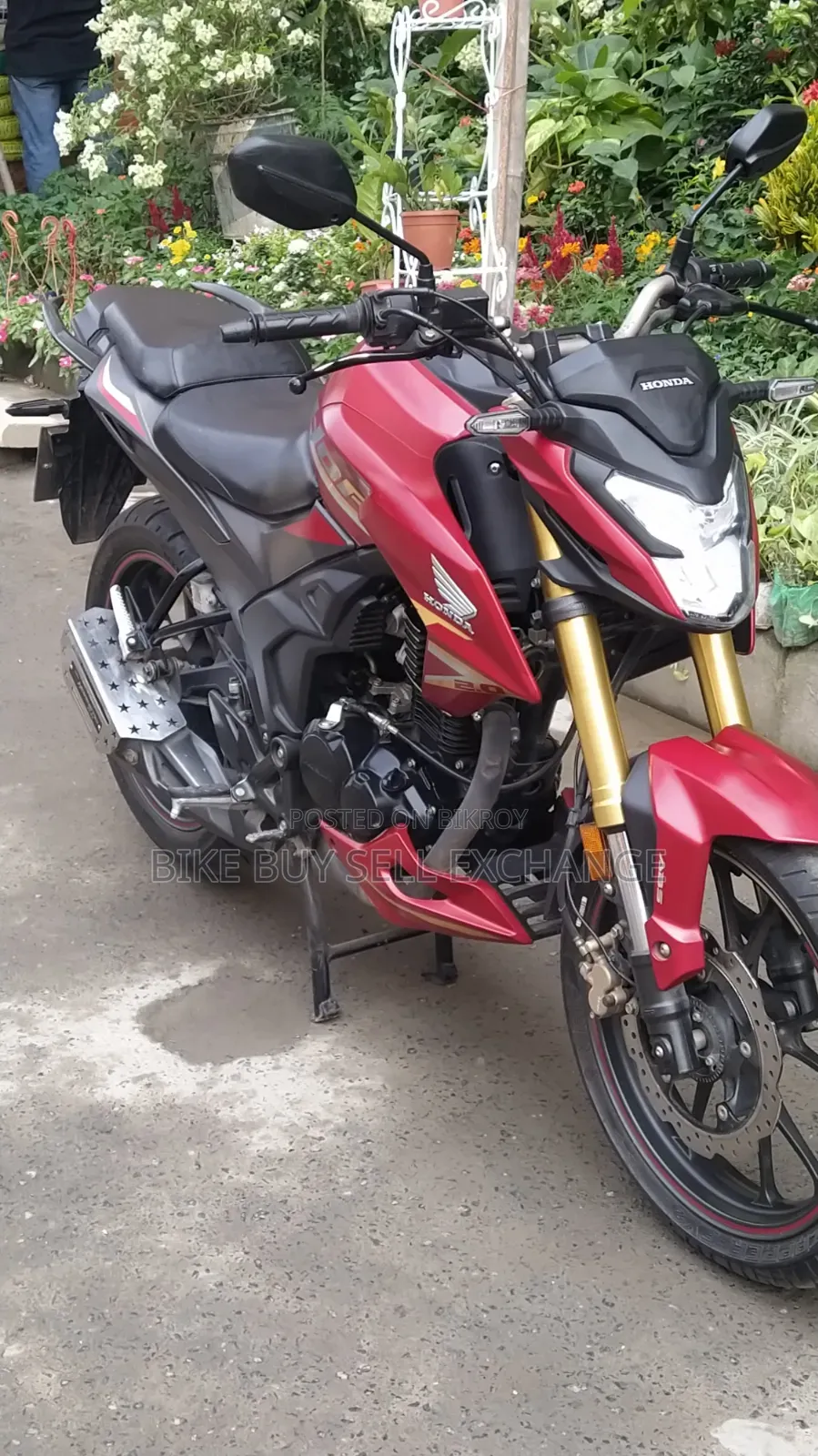 Honda Hornet 2.0 2024 Red