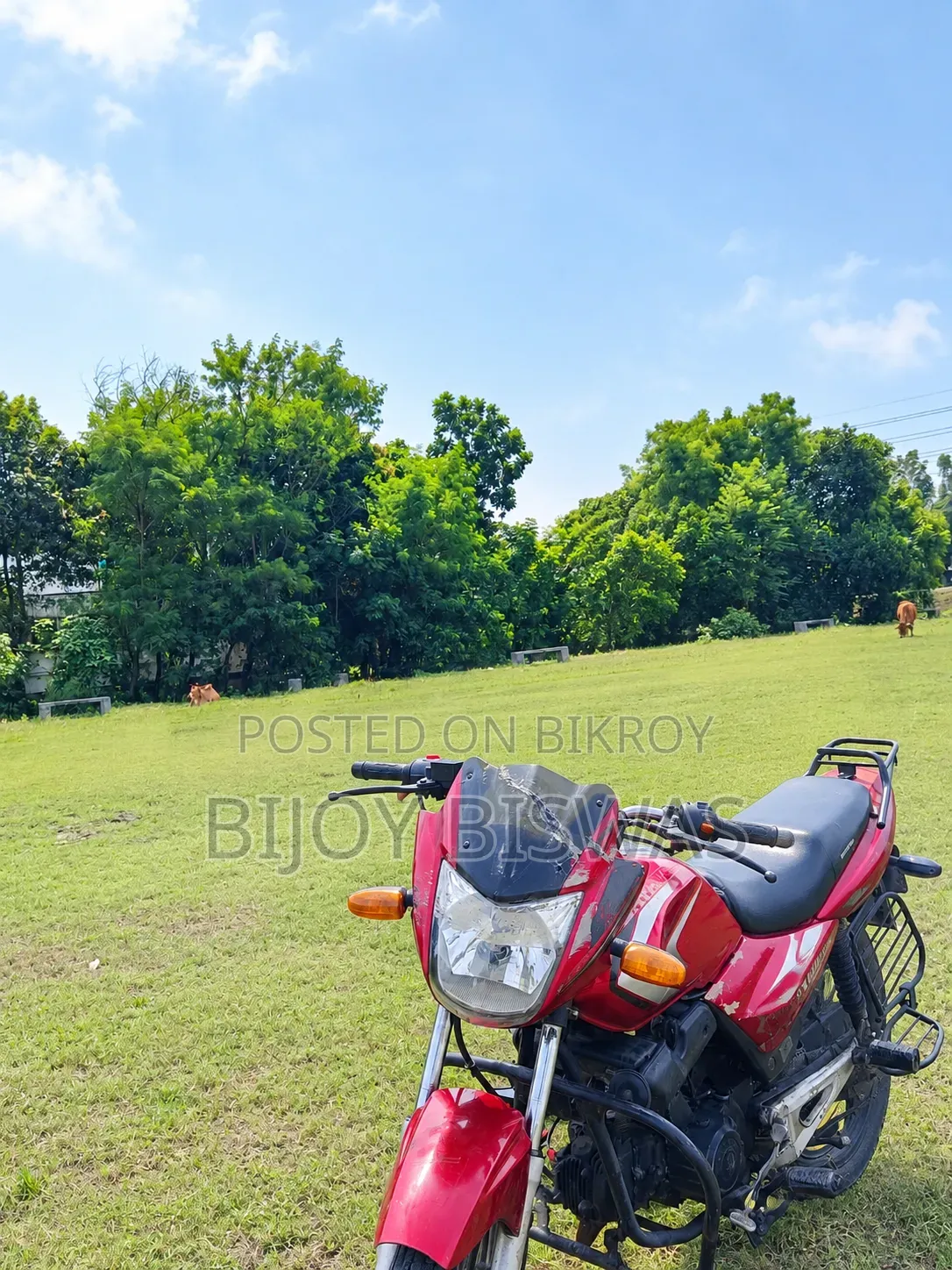 Dayang DY100-A 2017 Red