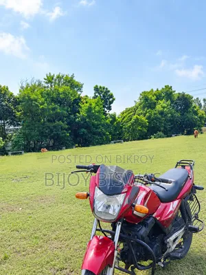 Dayang DY100-A 2017 Red