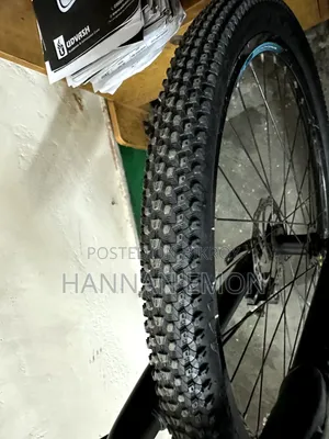 ভেলোসি লিজিয়ন ১০