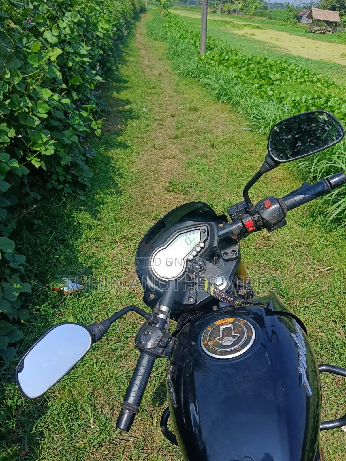 Bajaj Pulsar 150 2019 Red