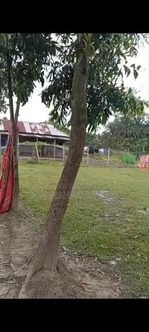 প্রপার্টি সেল ১৯.৫ শতক