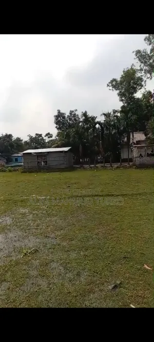 প্রপার্টি সেল ১৯.৫ শতক