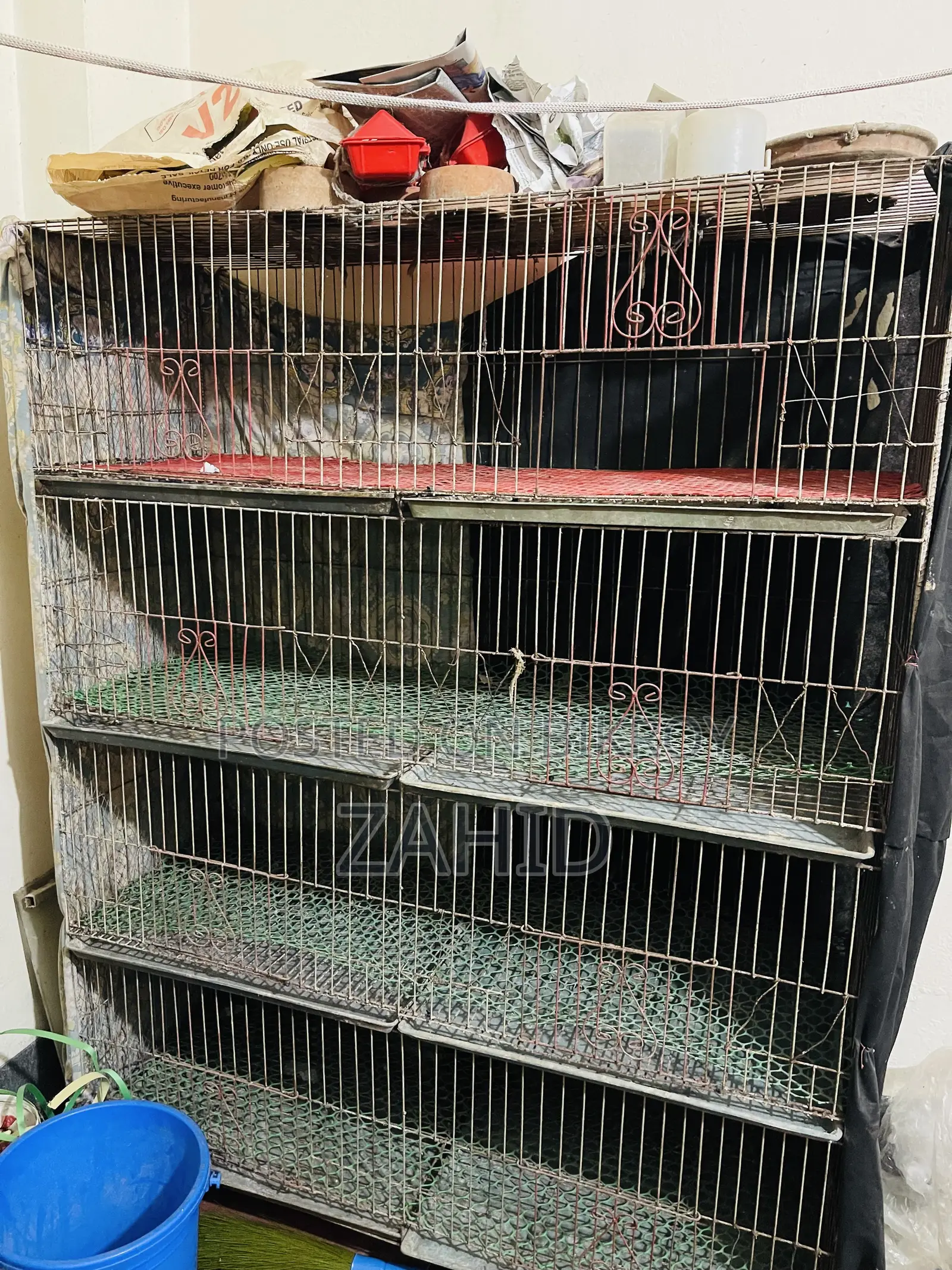 Cages for sale