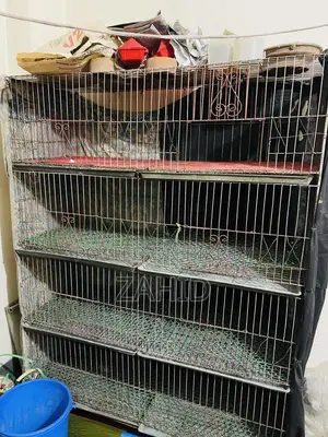 Cages for sale
