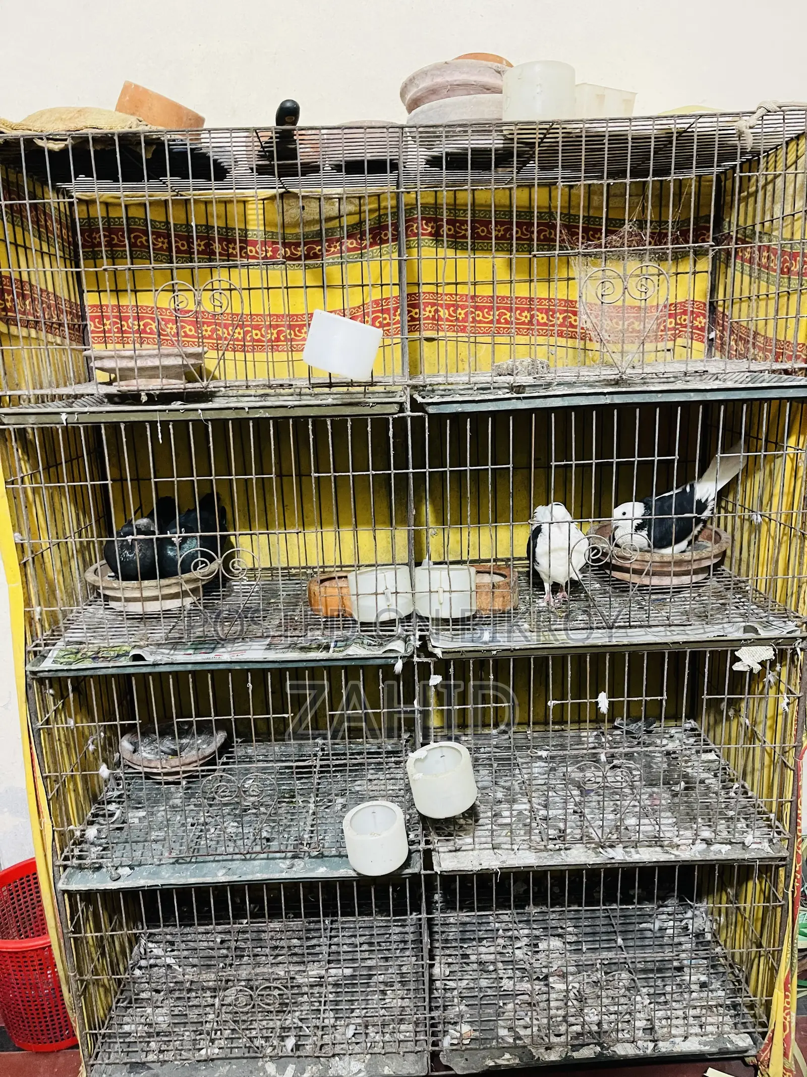 Cages for sale