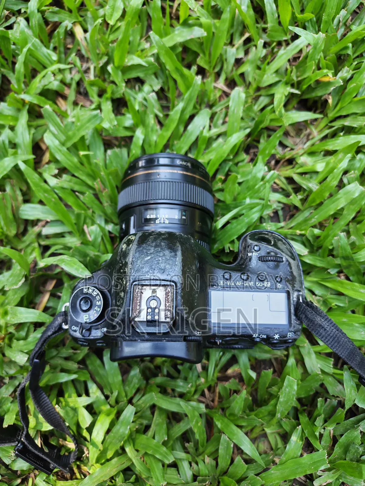 Camera EOS 5D Mark III and Canon USM 85mm 1.8