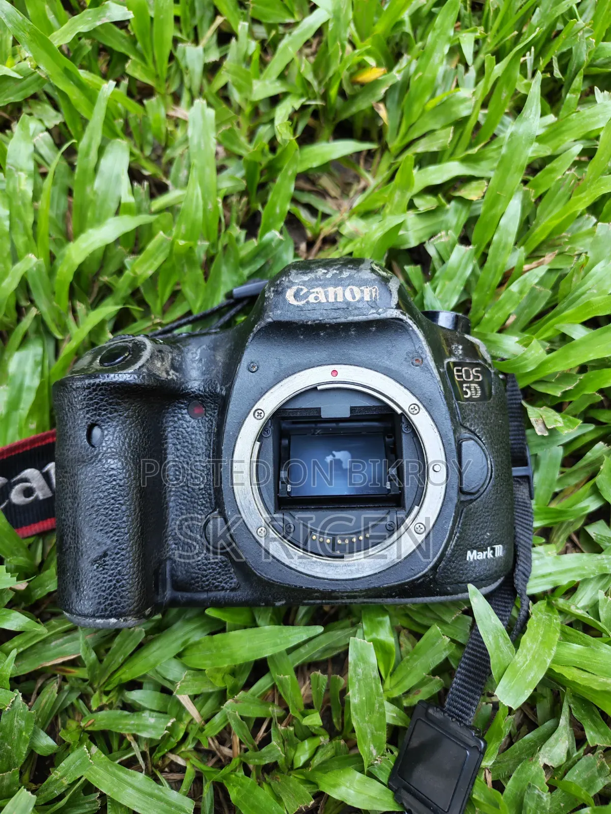 Camera EOS 5D Mark III and Canon USM 85mm 1.8