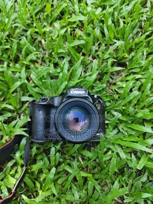 Camera EOS 5D Mark III and Canon USM 85mm 1.8
