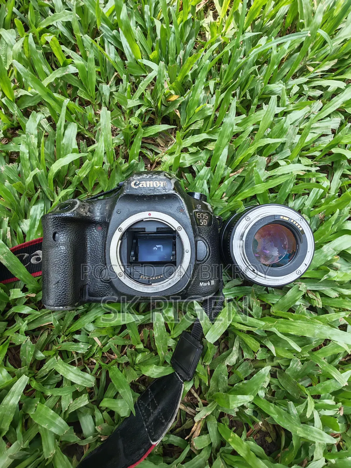 Camera EOS 5D Mark III and Canon USM 85mm 1.8