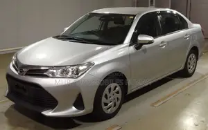 Toyota Axio 2021 Silver