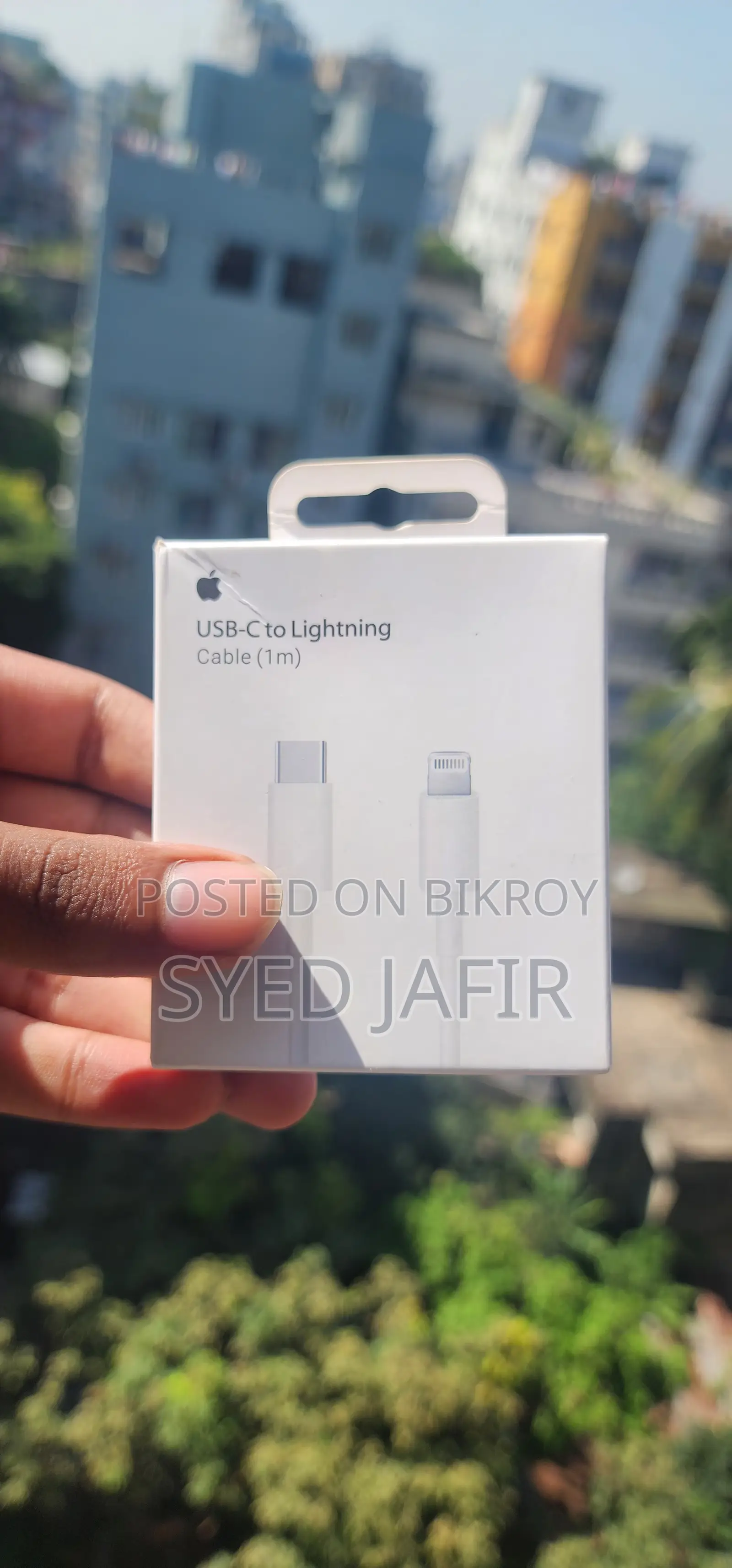 Apple Charger