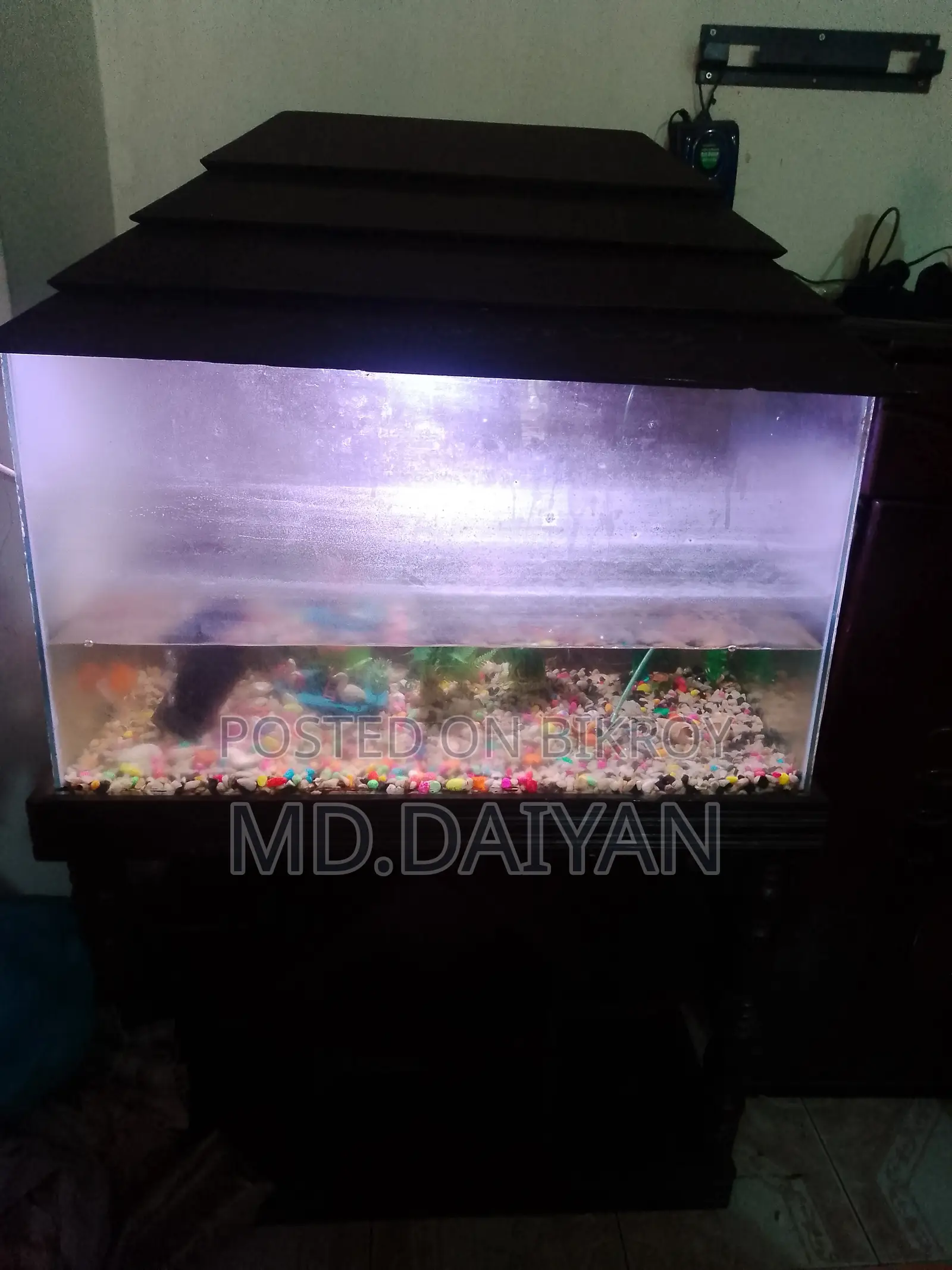 Aquarium