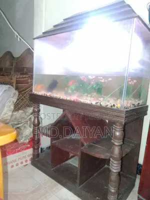 Aquarium