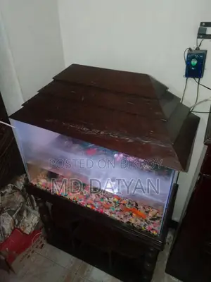 Aquarium