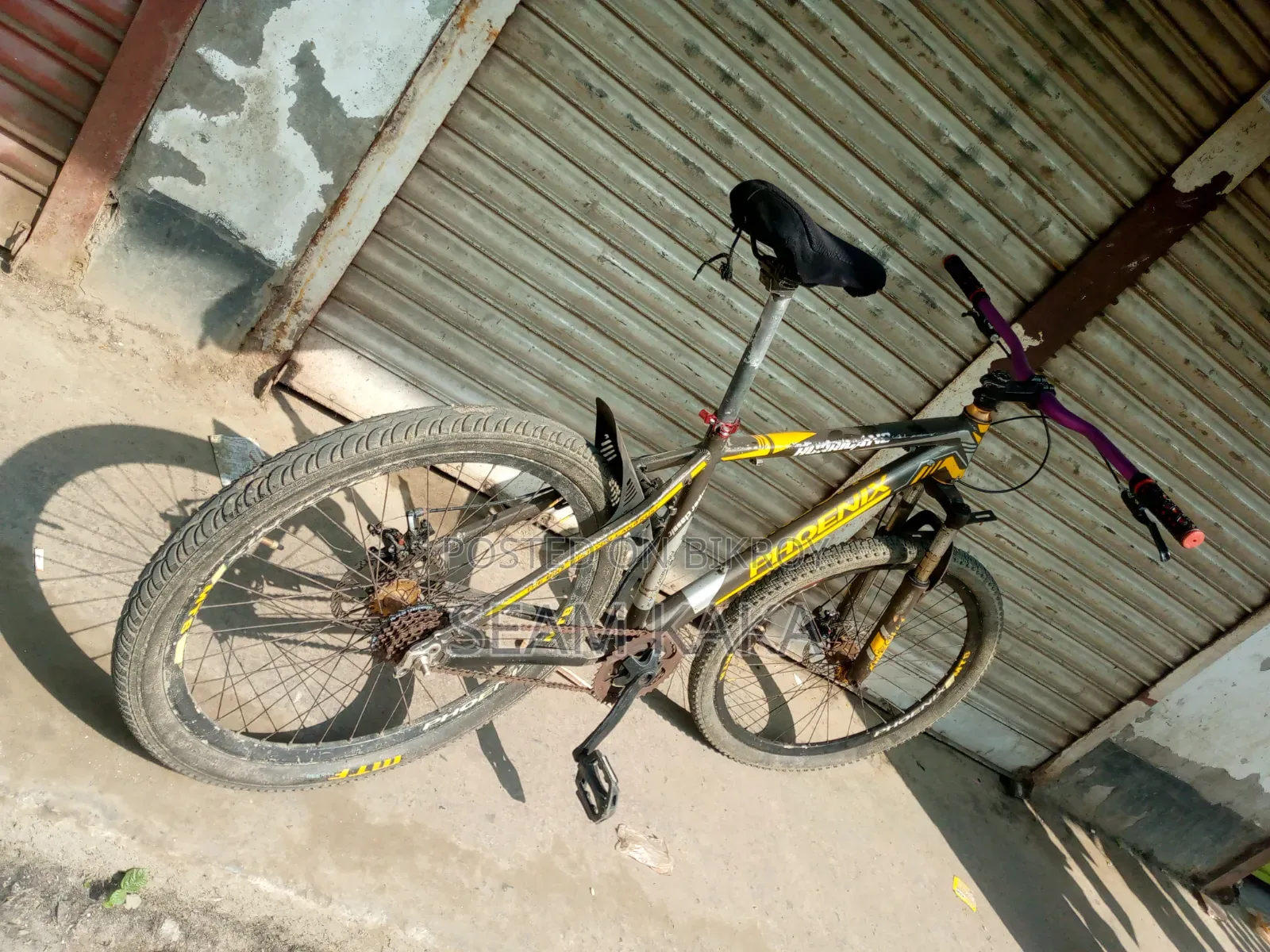 ফিনিক্স সাইকেল