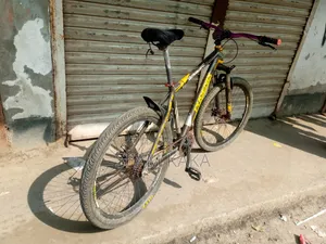 ফিনিক্স সাইকেল