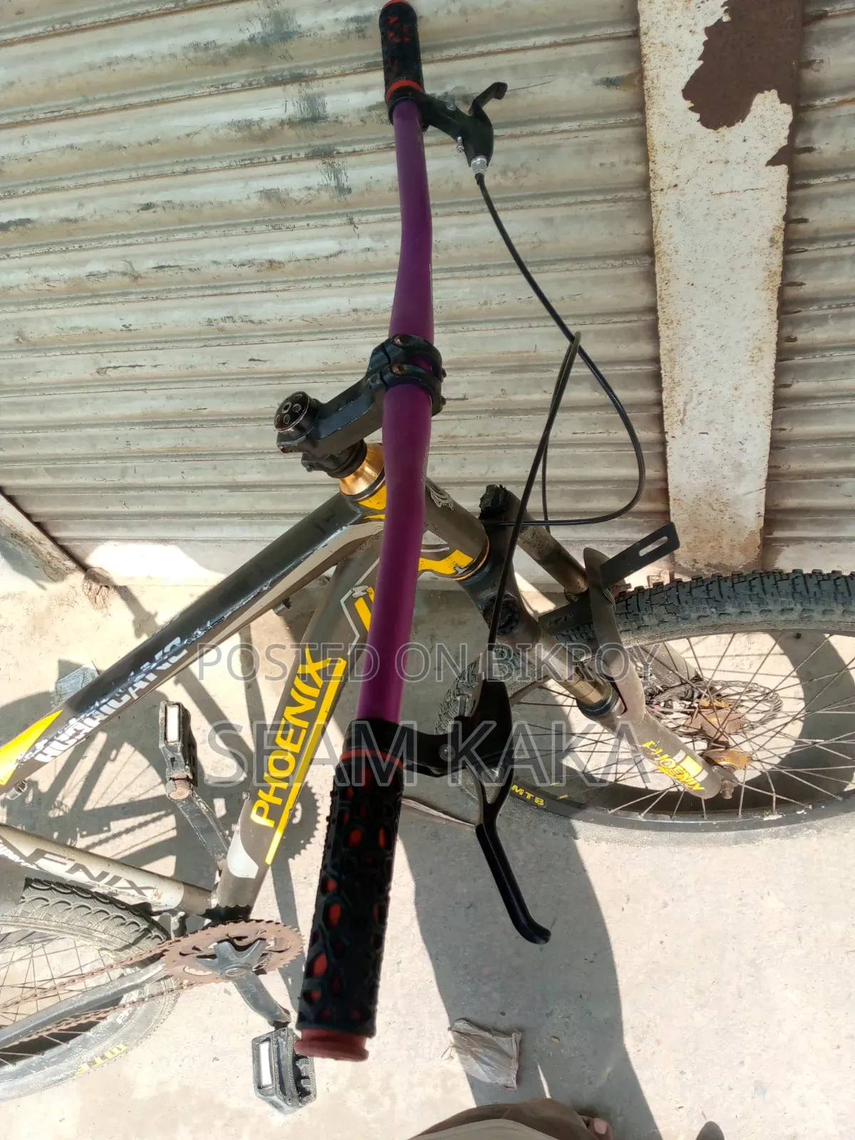 ফিনিক্স সাইকেল