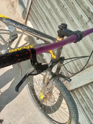 ফিনিক্স সাইকেল