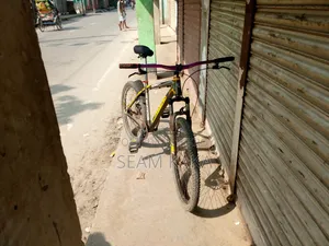 ফিনিক্স সাইকেল