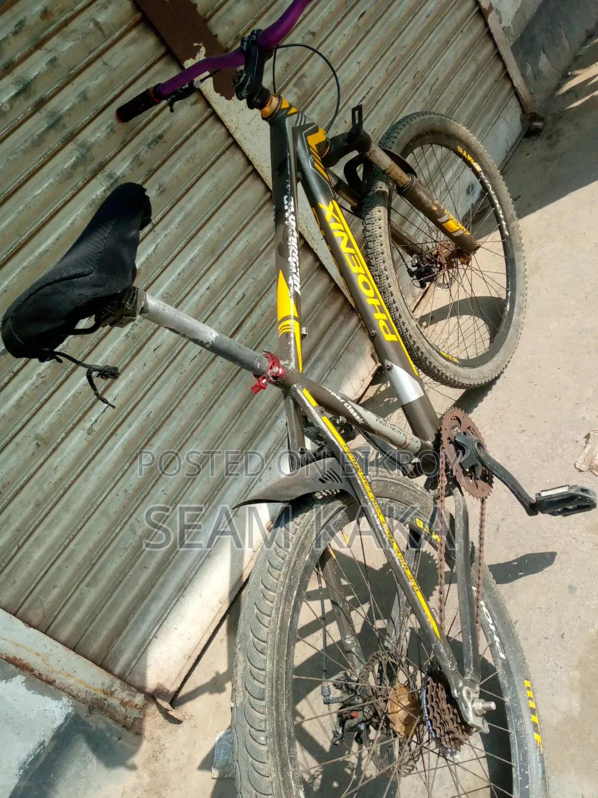 ফিনিক্স সাইকেল
