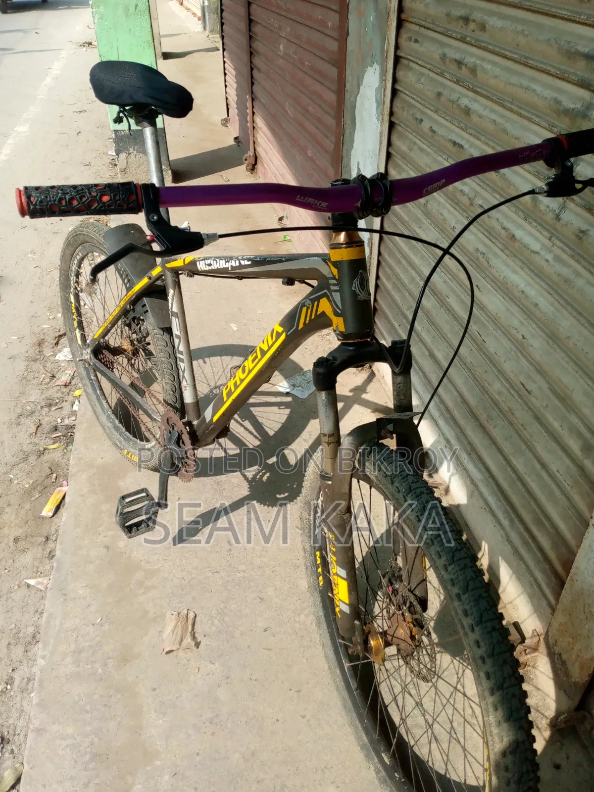 ফিনিক্স সাইকেল
