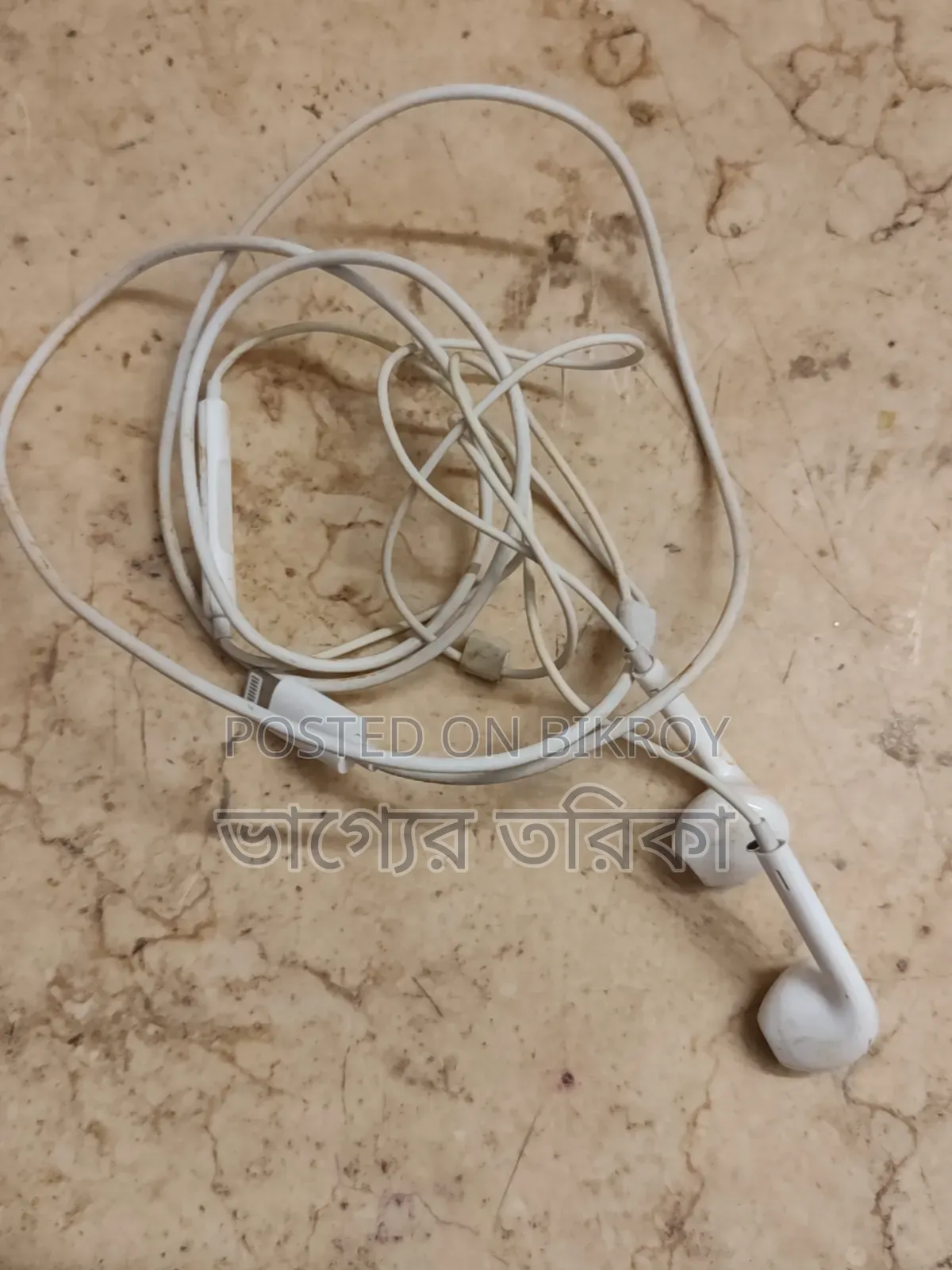 Apple Headphone