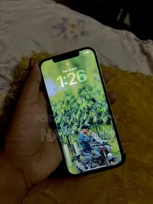 Apple iPhone 12 Pro Max 256 GB