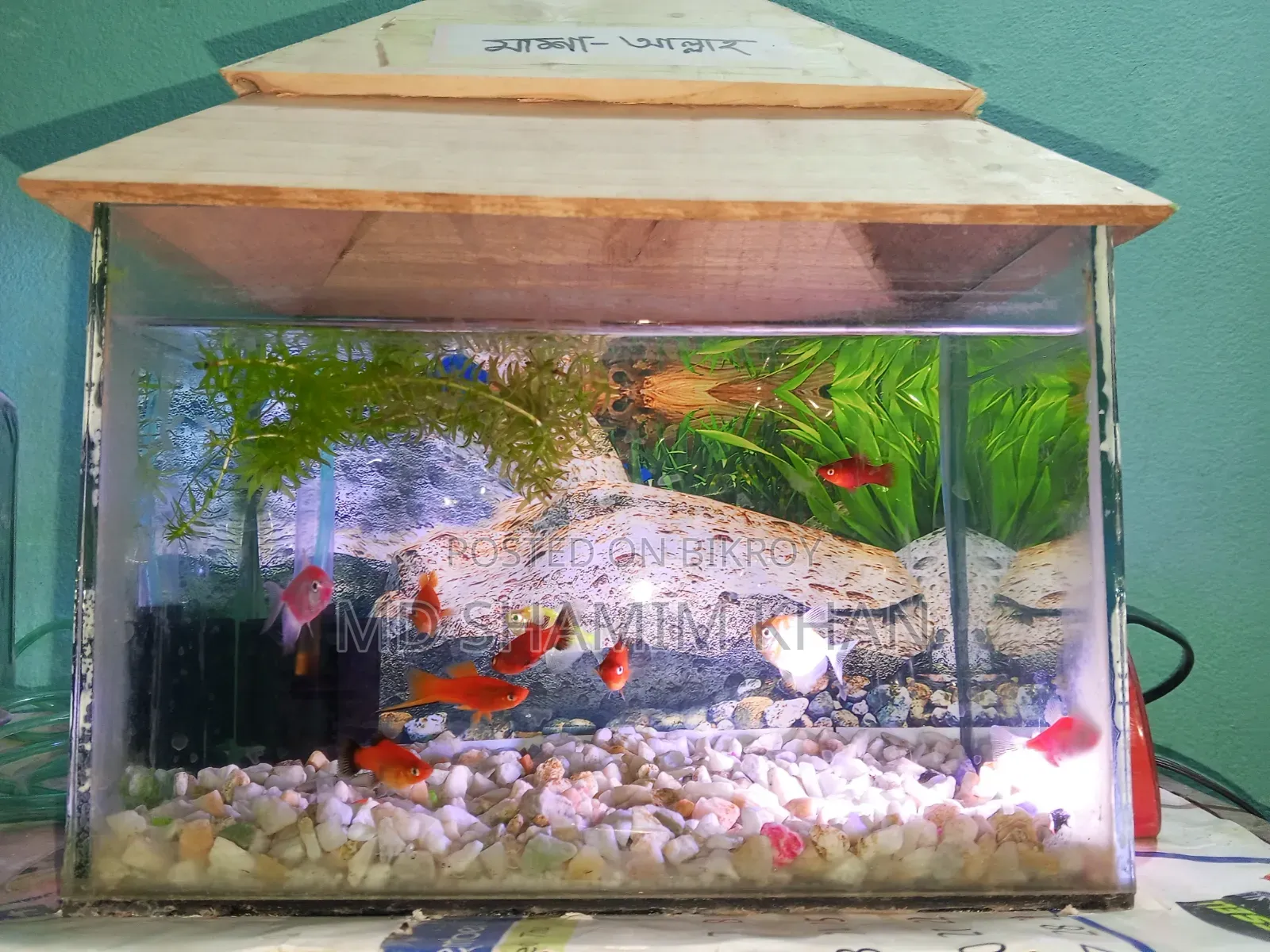 Aquarium for sale