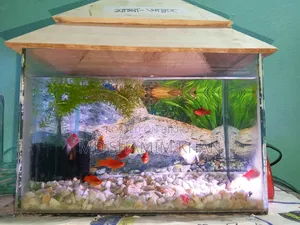 Aquarium for sale