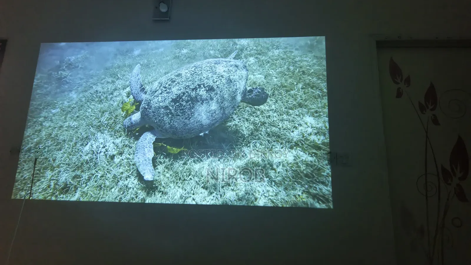 Projector Az100
