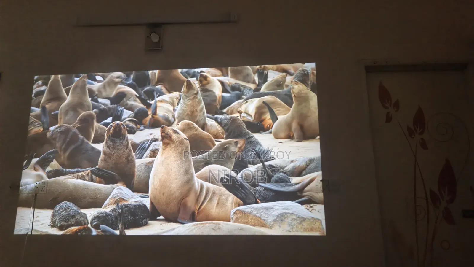 Projector Az100